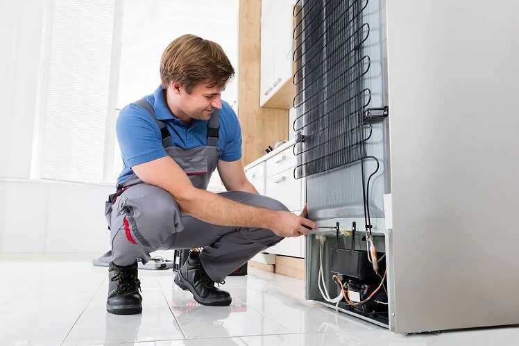 naprawa lodówek Andrespol